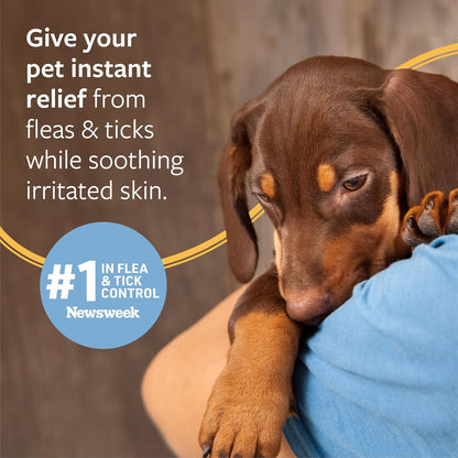 Veterinary Flea and Tick Shampoo